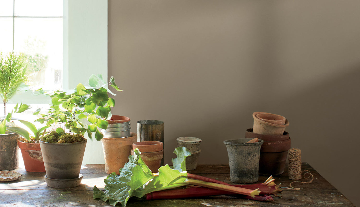Brown Paint Colors